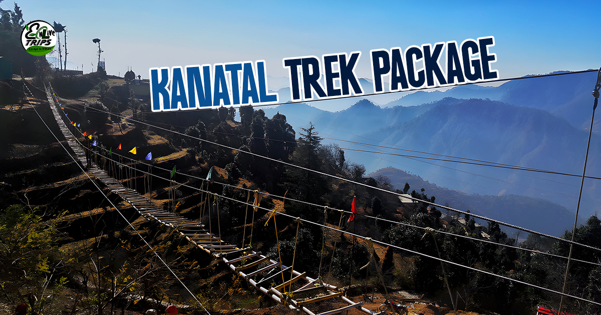 Kanatal trek package from Delhi 